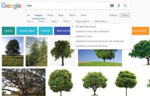 Google images search for a tree photograph